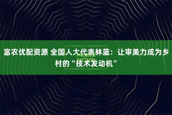 富农优配资源 全国人大代表林蓝：让审美力成为乡村的“技术发动机”