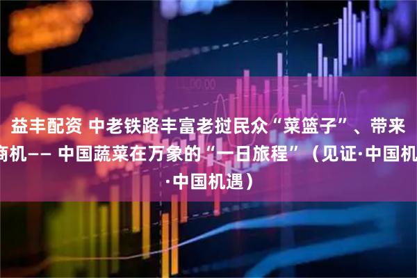 益丰配资 中老铁路丰富老挝民众“菜篮子”、带来新商机—— 中国蔬菜在万象的“一日旅程”(见证·中国机遇)
