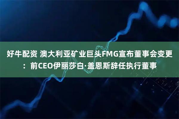好牛配资 澳大利亚矿业巨头FMG宣布董事会变更：前CEO伊丽莎白·盖恩斯辞任执行董事